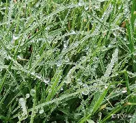 开云中国-关键时刻菲尼克斯太阳临场应变洛杉矶快船今晨外线爆发，连对手都承认：马赛国际比赛日战术微调